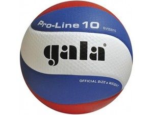 М'яч волейбольний GALA BV 5581 S